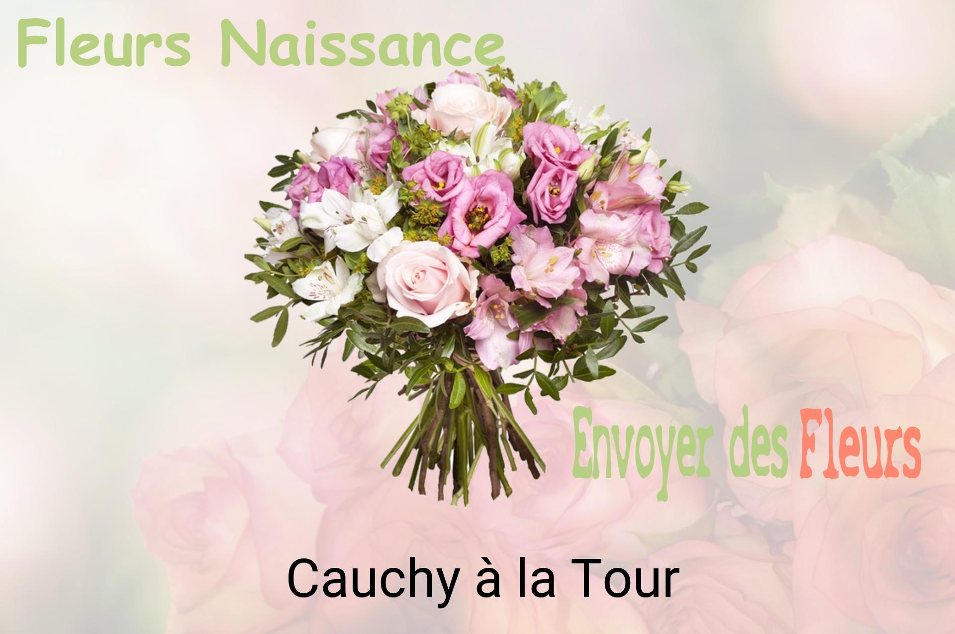 Bouquet de fleurs de naissance livré à Cauchy-à-la-Tour